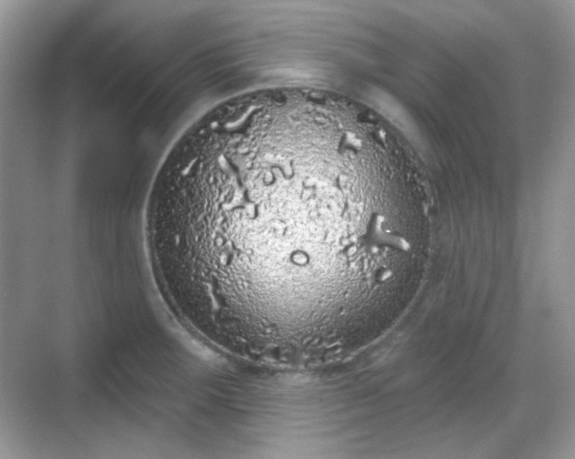 X0000068721283200605051423