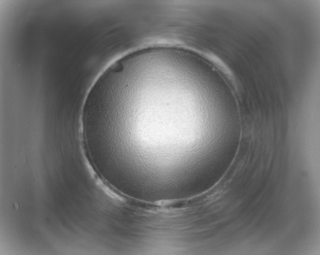 X0000068721287200605051423