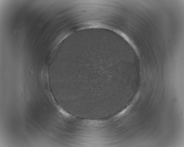 X0000068721289200605051423