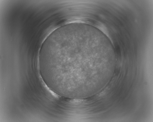 X0000068721290200605051423