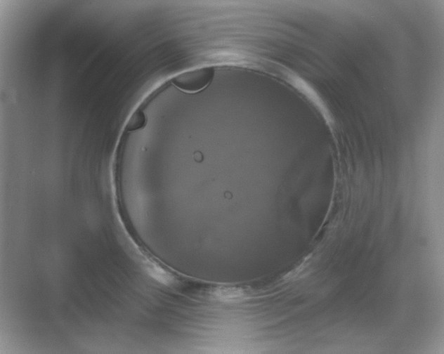 X0000068721291200605051423