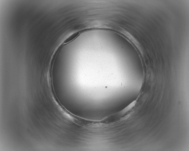 X0000068721293200605051423