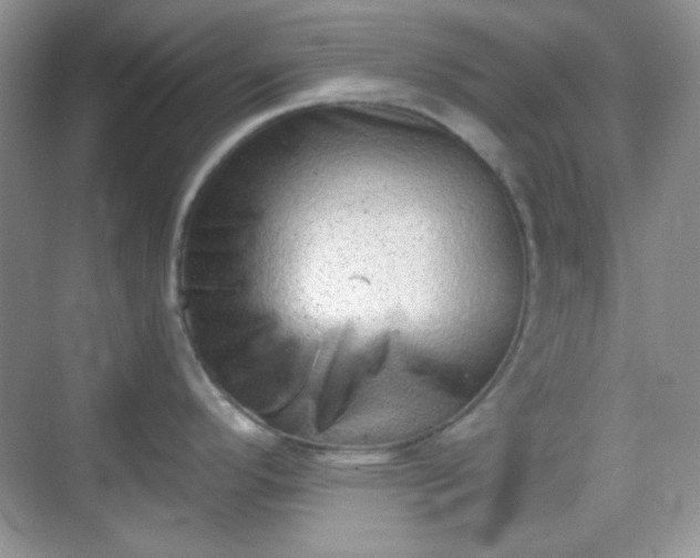 X0000068721296200605051423