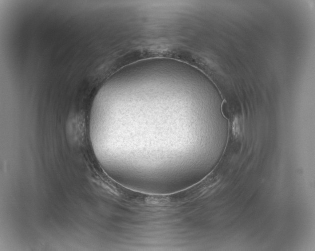 X0000068721299200605051422