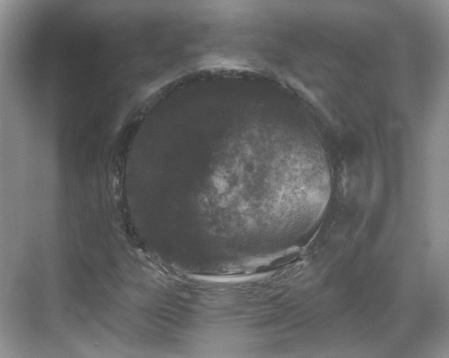 X0000068721303200605051422