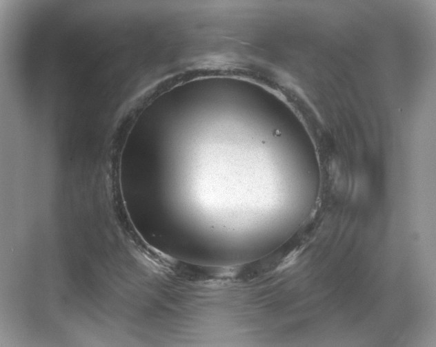 X0000068721304200605051422