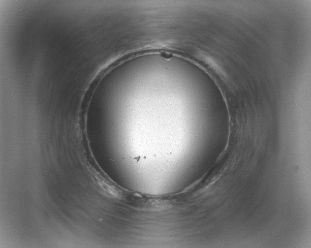 X0000068721308200605051423