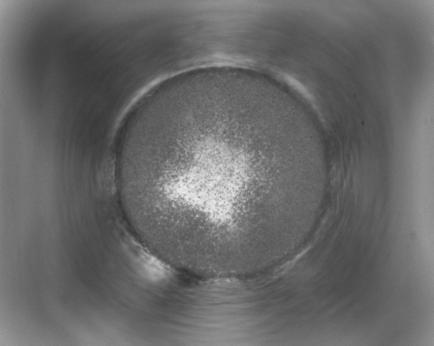 X0000068721310200605051423