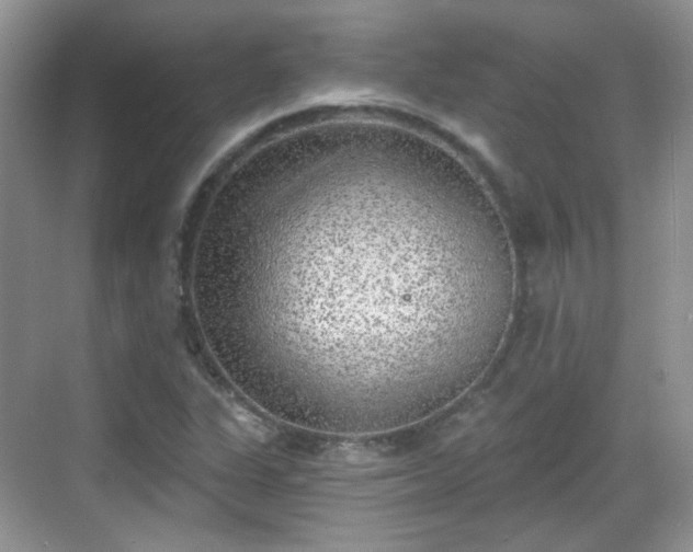 X0000068721311200605051423