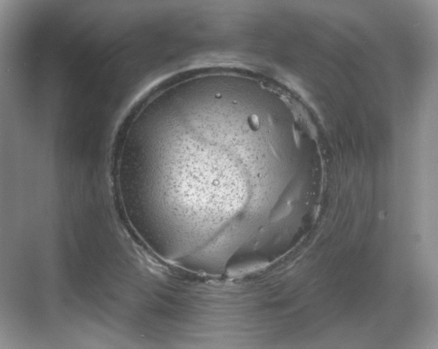 X0000068721312200605051423