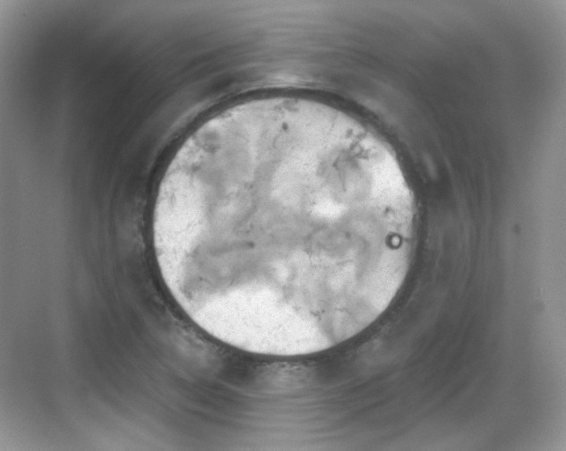 X0000068721314200605051423