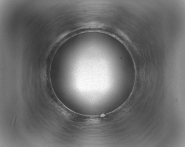 X0000068721315200605051423