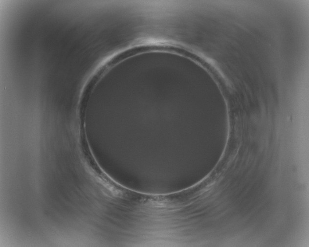 X0000068721319200605051423