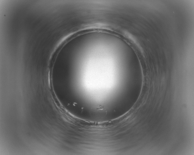 X0000068721320200605051423