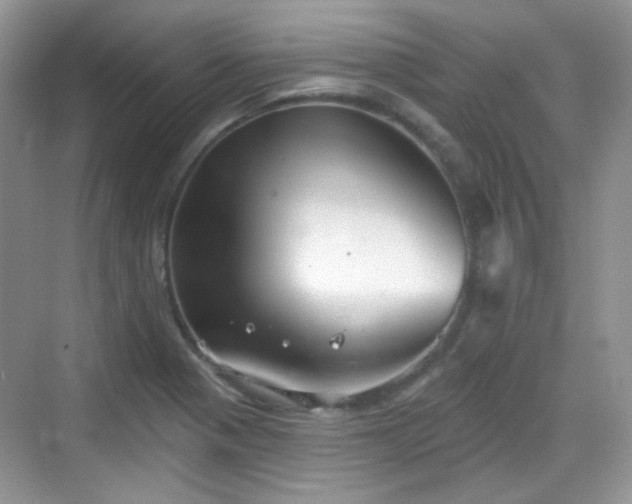 X0000068721321200605051423