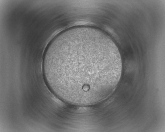 X0000068721322200605051423