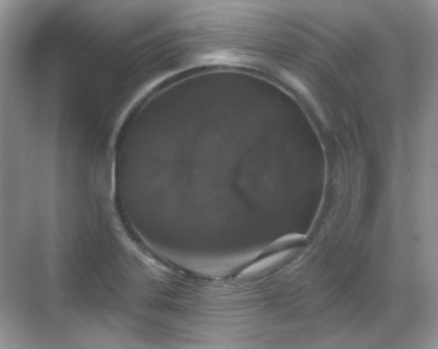 X0000068721323200605051423