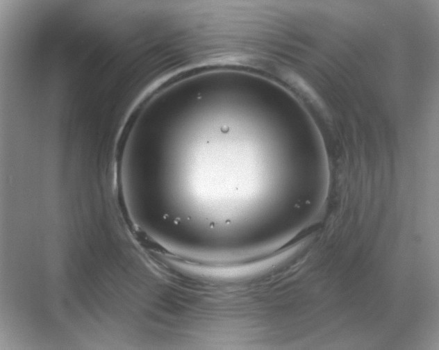 X0000068721324200605051423