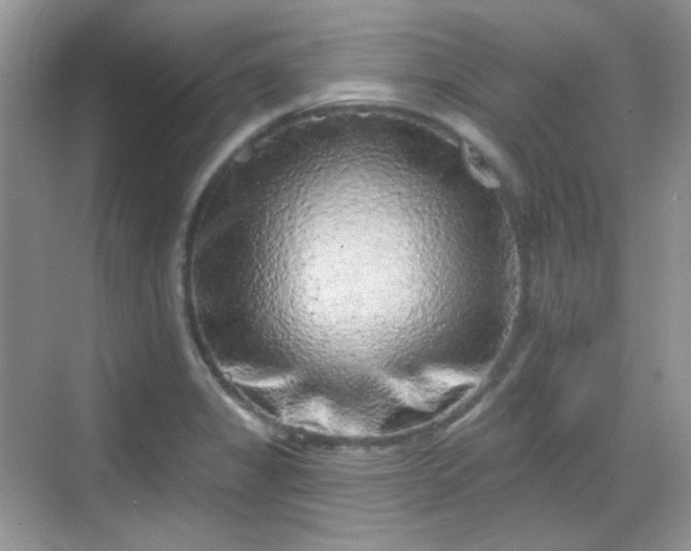 X0000068721325200605051423