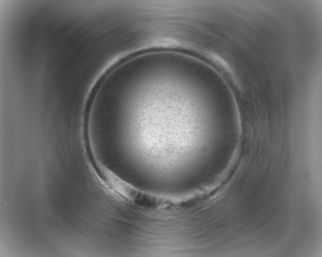 X0000068721326200605051423