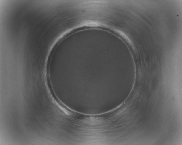 X0000068721327200605051423