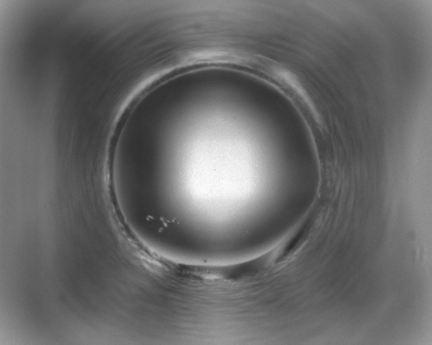 X0000068721328200605051423