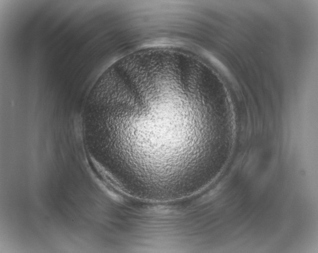 X0000068721329200605051423