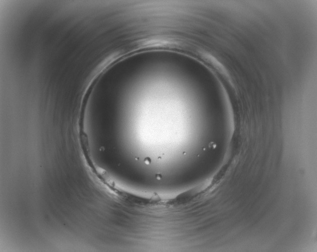 X0000068721330200605051423