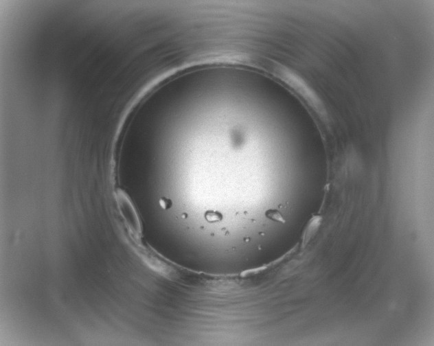 X0000068721332200605051423