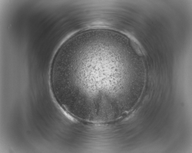 X0000068721333200605051423