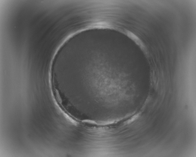 X0000068721334200605051423