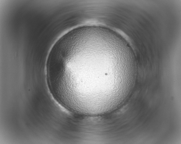 X0000068721335200605051423