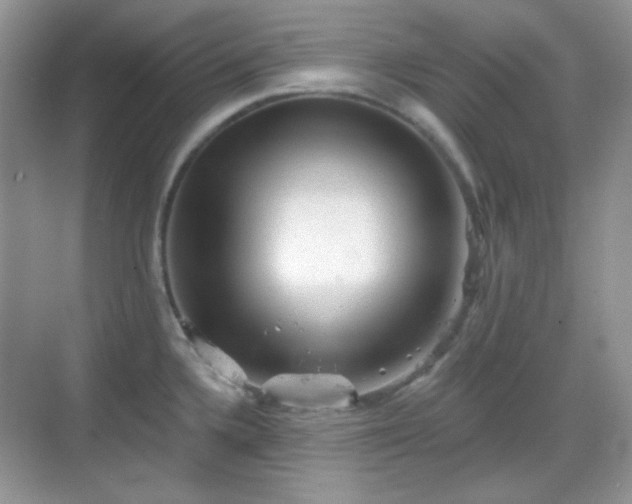 X0000068721336200605051423