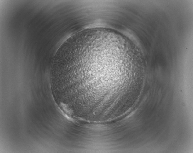 X0000068721337200605051423