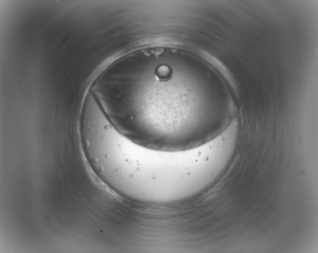 X0000068721338200605051423