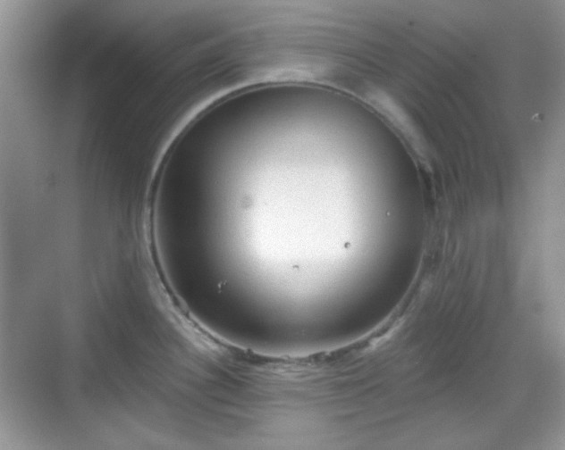 X0000068721340200605051423