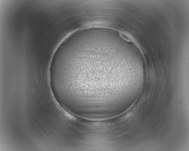 X0000068721341200605051423