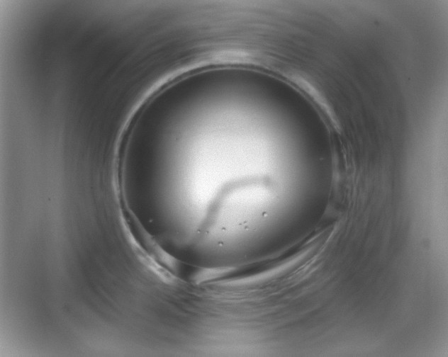 X0000068721342200605051423