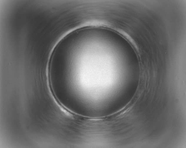 X0000068721343200605051423