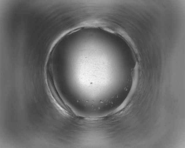 X0000068721344200605051423