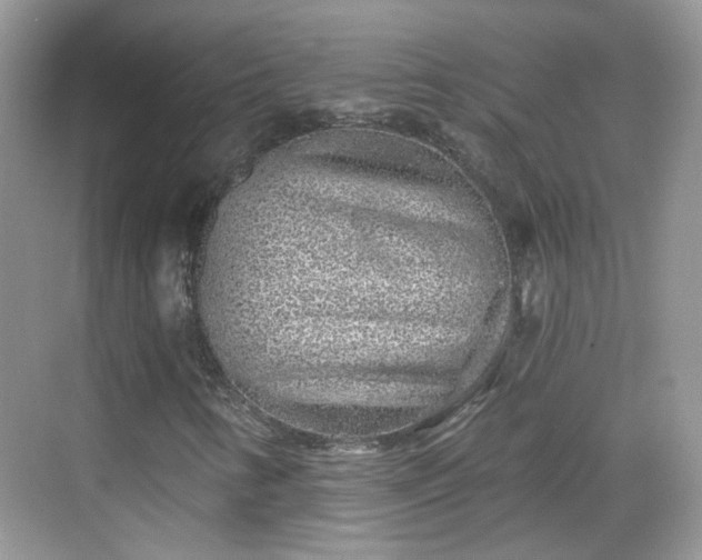 X0000068721346200605051422