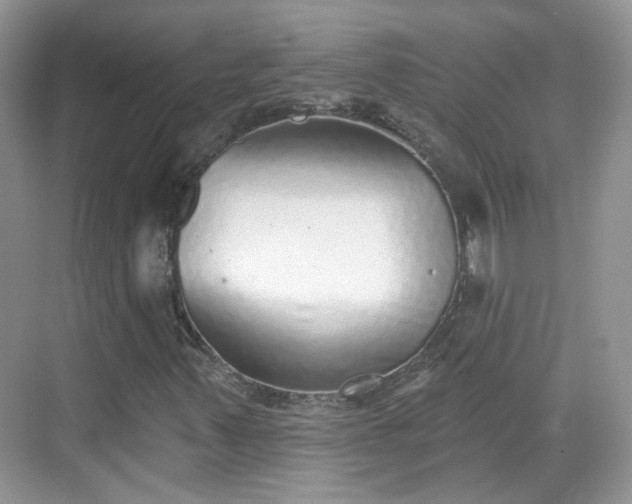 X0000068721347200605051422