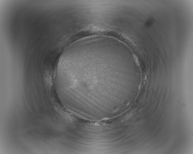 X0000068721348200605051422