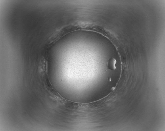 X0000068721349200605051422