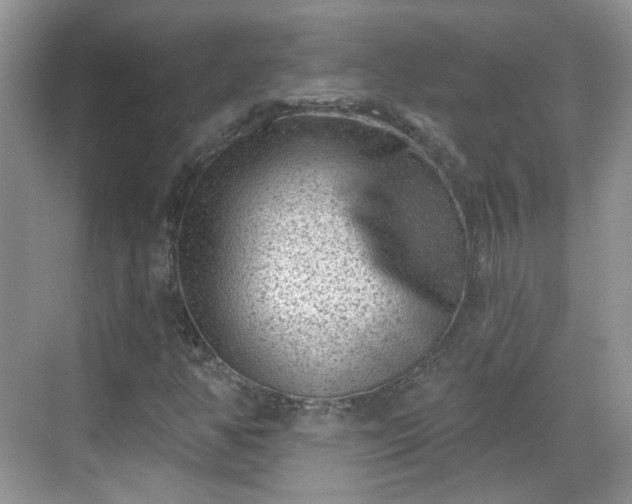 X0000068721350200605051422