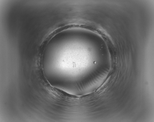 X0000068721352200605051422