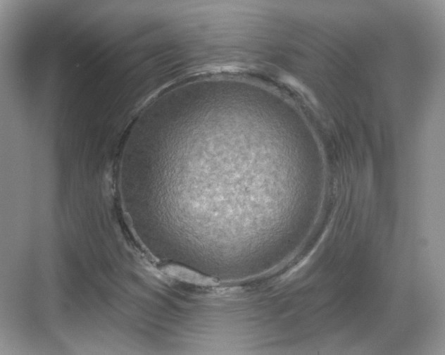 X0000068721353200605051422