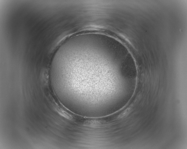 X0000068721355200605051422