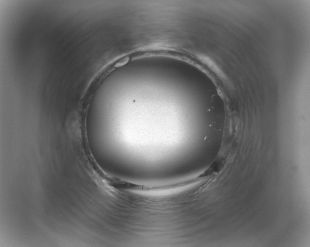 X0000068721356200605051422