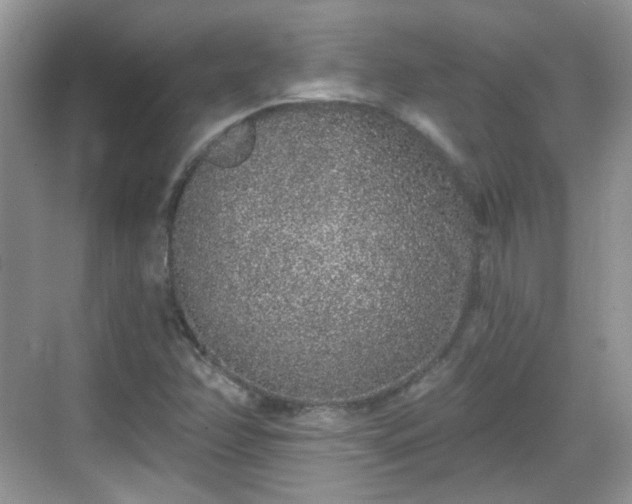 X0000068721358200605051422